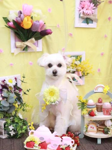 20230325うみちゃん